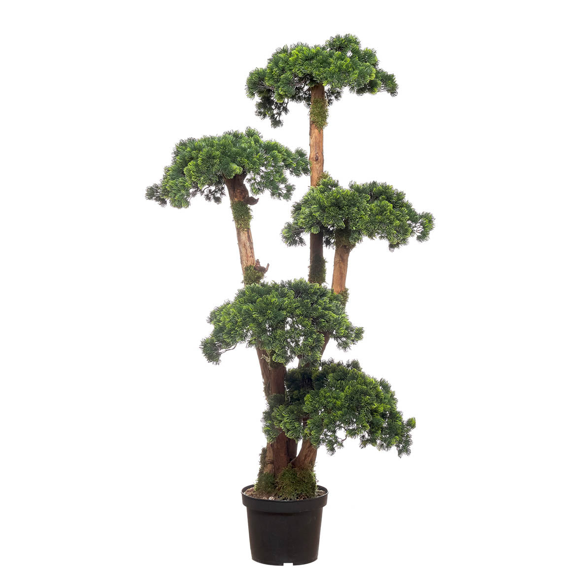 Bonsai Japan Triplex 140cm - Planta artificial