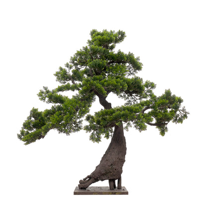Bonsai 100x95 cm - Planta artificial