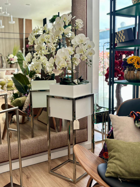 Floreira Cubo - Inox Polido com Caixa Branca Lacada