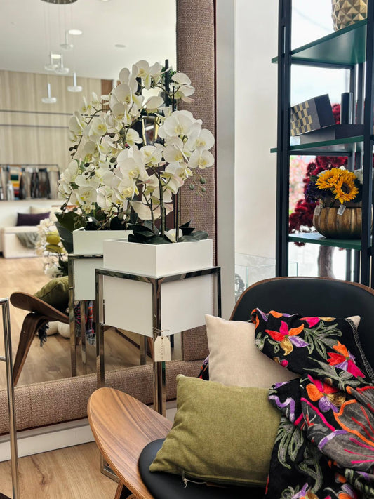 Floreira Cubo - Inox Polido com Caixa Branca Lacada